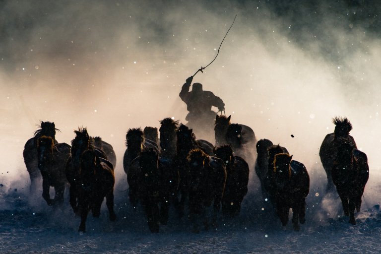 01 Grand Prize Anthony Lau / National Geographic Travel Photographer of the Year Contest Winter Horseman The Winter in Inner Mongolia is very unforgiving. At a freezing temperature of minus twenty and lower with constant breeze of snow from all direction, it was pretty hard to convince myself to get out of the car and take photos. Not until I saw Inner Mongolia horsemen showing off their skills in commanding the steed from a distance, I quickly grab my telephoto lens and capture the moment when one of the horseman charged out from morning mist .