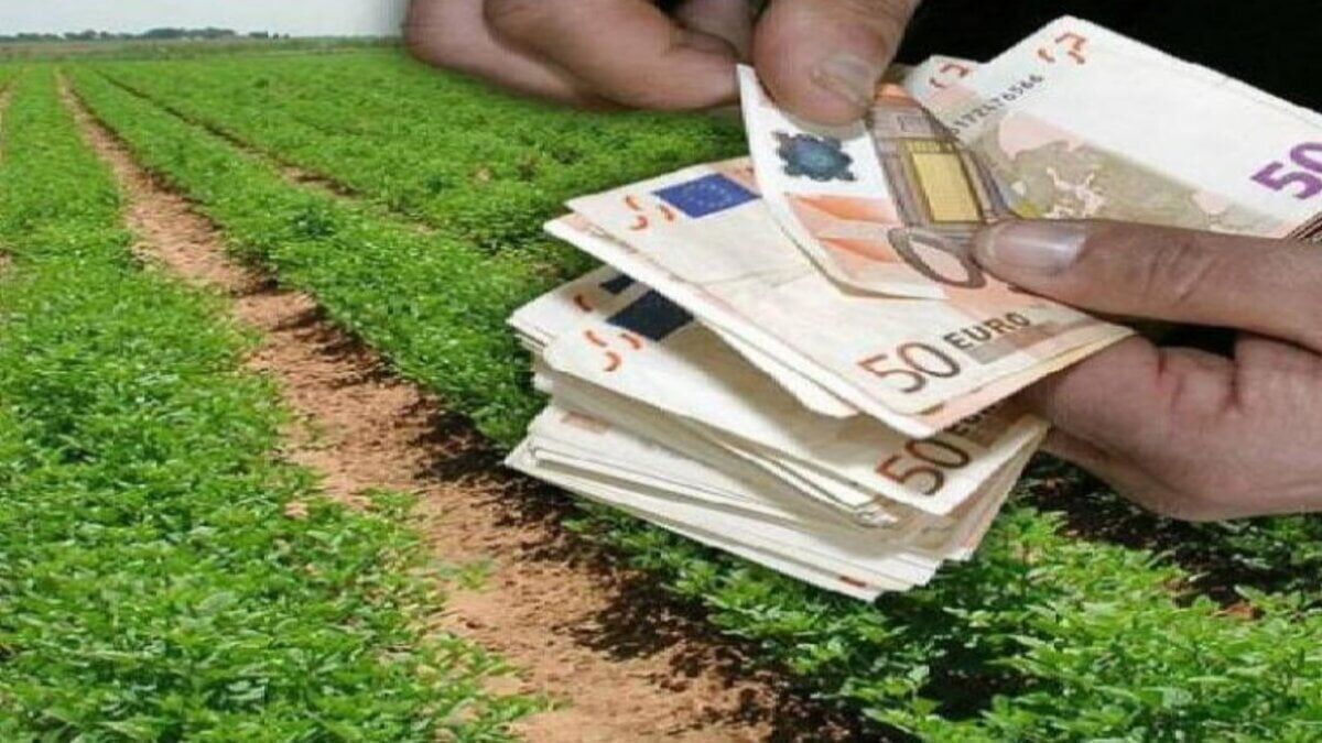ΟΠΕΚΕΠΕ: Μέσω gov.gr οι επιδοτήσεις των αγροτών