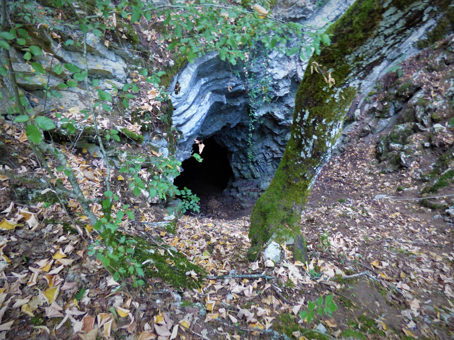 Η ομορφότερη σπηλιά της Ευρυτανίας, η “Σπηλιά του Πατριάρχη”